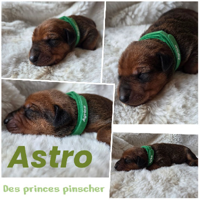 ASTRO