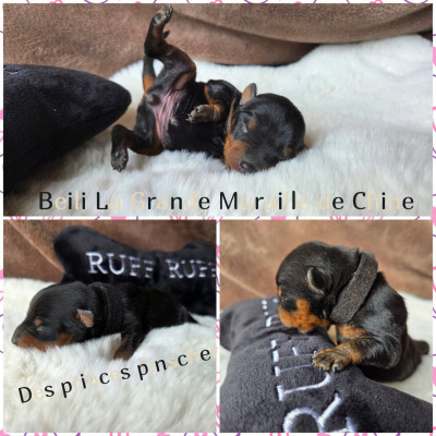 Beili La Grande Muraille de Chine Des princes