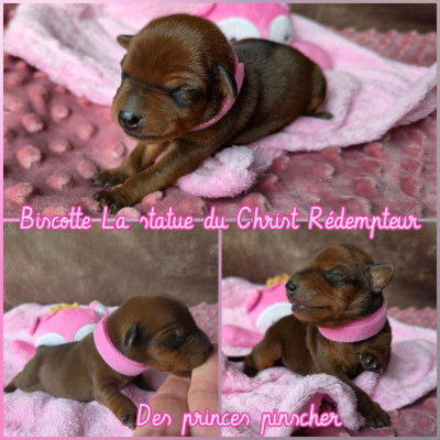 Biscotte statue du Christ Rédempteur Des princes p