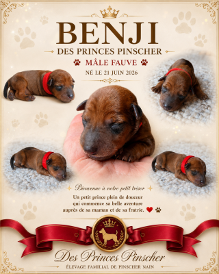 Benji