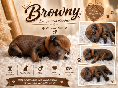 Browny